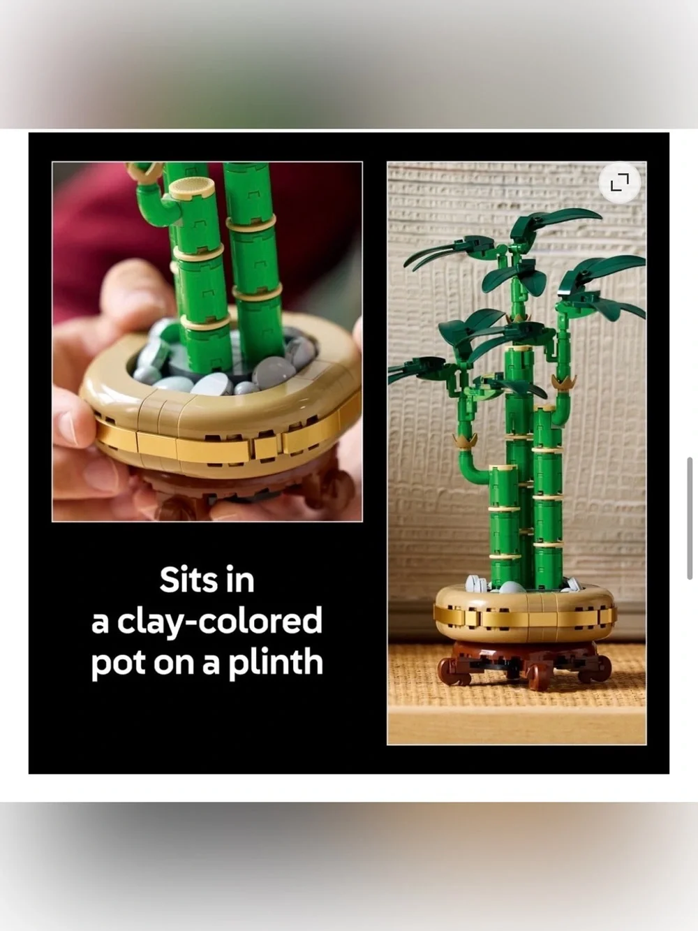 LEGO Botanical Lucky Bamboo Set